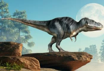 Fototapeta Dinozaur Na Skałach - obrazek 2