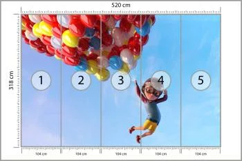 Fototapeta Chłopiec Z Balonami W Locie - obrazek 3