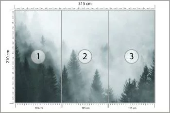 Fototapeta Las We Mgle - obrazek 3