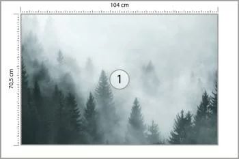 Fototapeta Las We Mgle - obrazek 3