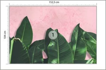 Fototapeta Rośliny - obrazek 3