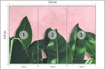 Fototapeta Rośliny - obrazek 3