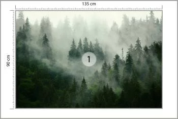 Fototapeta Mglisty Las - Tajemnicza Natura - obrazek 3