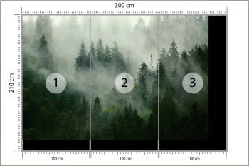 Fototapeta Mglisty Las - Tajemnicza Natura - obrazek 3