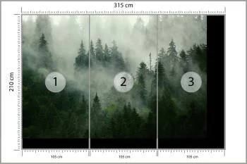 Fototapeta Mglisty Las - Tajemnicza Natura - obrazek 3