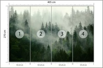 Fototapeta Mglisty Las - Tajemnicza Natura - obrazek 3