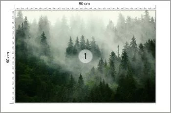 Fototapeta Mglisty Las - Tajemnicza Natura - obrazek 3