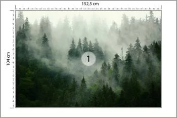 Fototapeta Mglisty Las - Tajemnicza Natura - obrazek 3