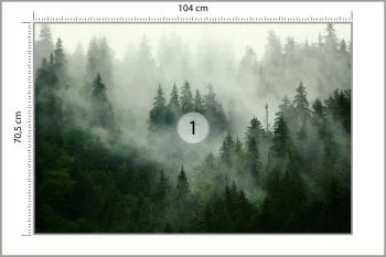 Fototapeta Mglisty Las - Tajemnicza Natura - obrazek 3