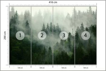 Fototapeta Mglisty Las - Tajemnicza Natura - obrazek 3