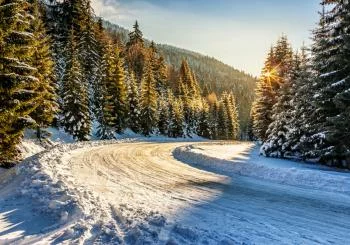 Fototapeta Zimowy Las - obrazek 2