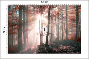 Fototapeta Las Barwy Jesieni - obrazek 3