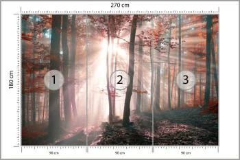Fototapeta Las Barwy Jesieni - obrazek 3