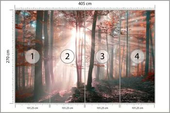 Fototapeta Las Barwy Jesieni - obrazek 3