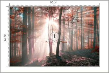 Fototapeta Las Barwy Jesieni - obrazek 3