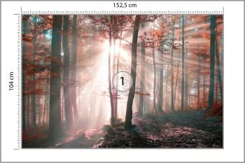Fototapeta Las Barwy Jesieni - obrazek 3