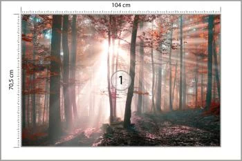 Fototapeta Las Barwy Jesieni - obrazek 3