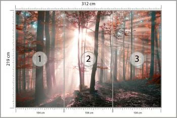 Fototapeta Las Barwy Jesieni - obrazek 3