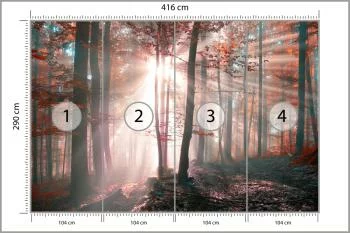 Fototapeta Las Barwy Jesieni - obrazek 3