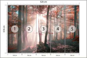 Fototapeta Las Barwy Jesieni - obrazek 3
