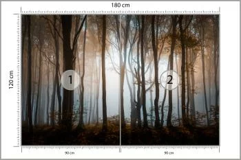 Fototapeta Las Drzewa - obrazek 3