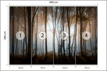 Fototapeta Las Drzewa - obrazek 3