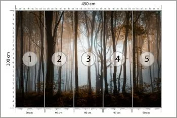 Fototapeta Las Drzewa - obrazek 3