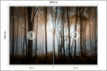 Fototapeta Las Drzewa - obrazek 3