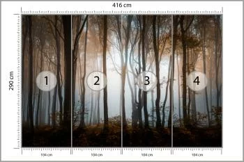 Fototapeta Las Drzewa - obrazek 3