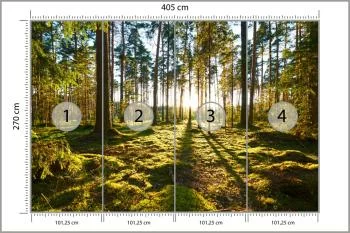 Fototapeta Las Zachód Słońca - obrazek 3