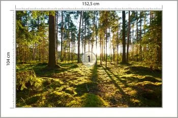 Fototapeta Las Zachód Słońca - obrazek 3