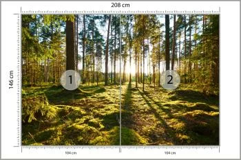 Fototapeta Las Zachód Słońca - obrazek 3