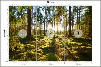 Fototapeta Las Zachód Słońca - obrazek 3