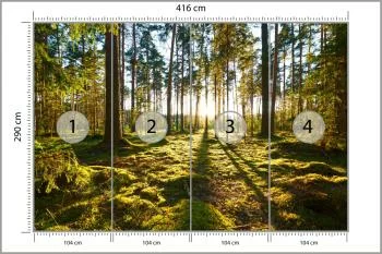Fototapeta Las Zachód Słońca - obrazek 3