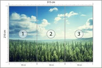 Fototapeta Las Drzewa Niebo - obrazek 3