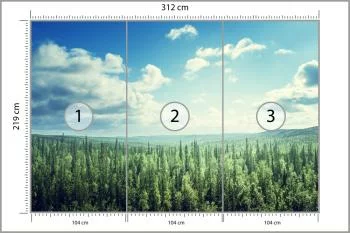 Fototapeta Las Drzewa Niebo - obrazek 3