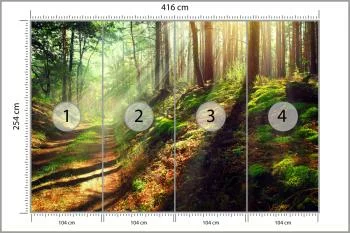 Fototapeta Las Natura - obrazek 3
