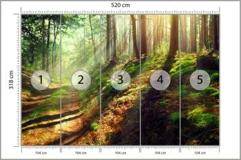 Fototapeta Las Natura - obrazek 3