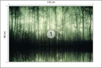 Fototapeta Las Drzewa Woda - obrazek 3