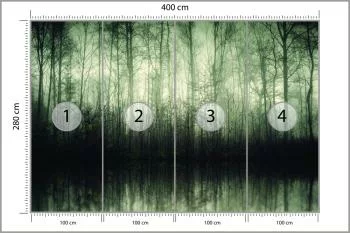 Fototapeta Las Drzewa Woda - obrazek 3