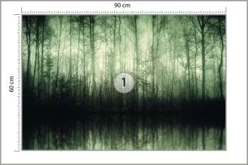 Fototapeta Las Drzewa Woda - obrazek 3