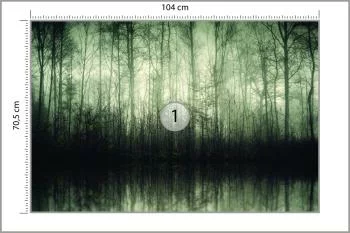 Fototapeta Las Drzewa Woda - obrazek 3