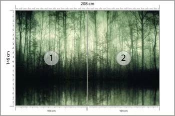 Fototapeta Las Drzewa Woda - obrazek 3