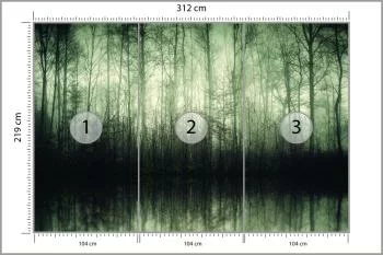 Fototapeta Las Drzewa Woda - obrazek 3