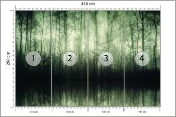 Fototapeta Las Drzewa Woda - obrazek 3
