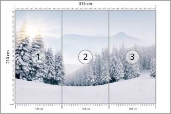 Fototapeta Zimowy Las - obrazek 3