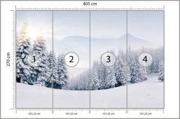 Fototapeta Zimowy Las - obrazek 3