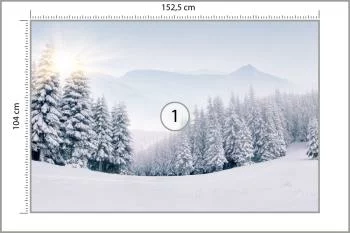 Fototapeta Zimowy Las - obrazek 3