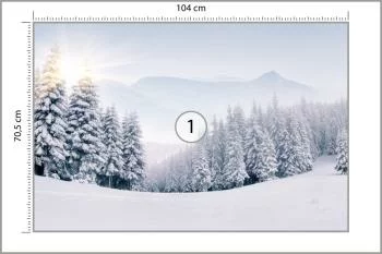 Fototapeta Zimowy Las - obrazek 3