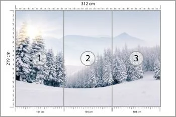 Fototapeta Zimowy Las - obrazek 3